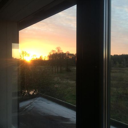 Chamedafne W Puszczy Kampinoskiej Brochów Esterno foto