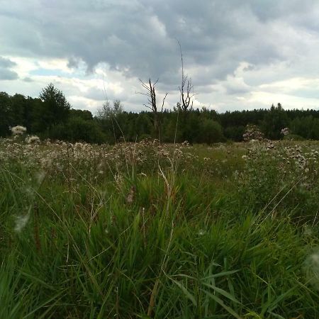 Chamedafne W Puszczy Kampinoskiej Brochów Esterno foto