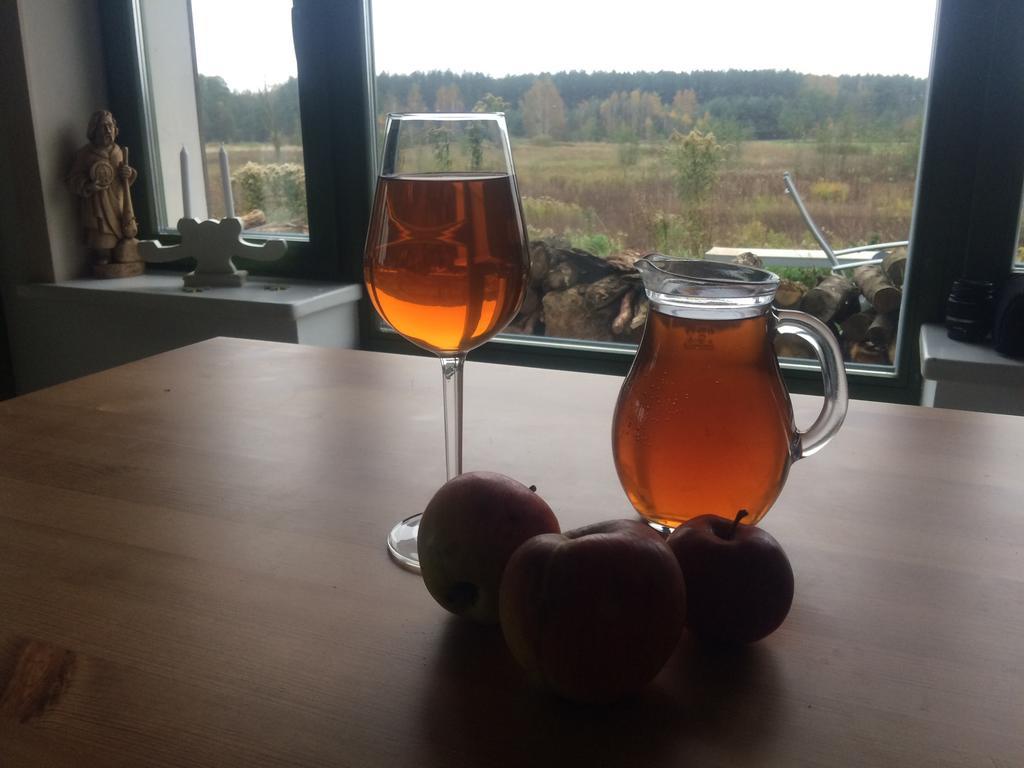Chamedafne W Puszczy Kampinoskiej Brochów Esterno foto