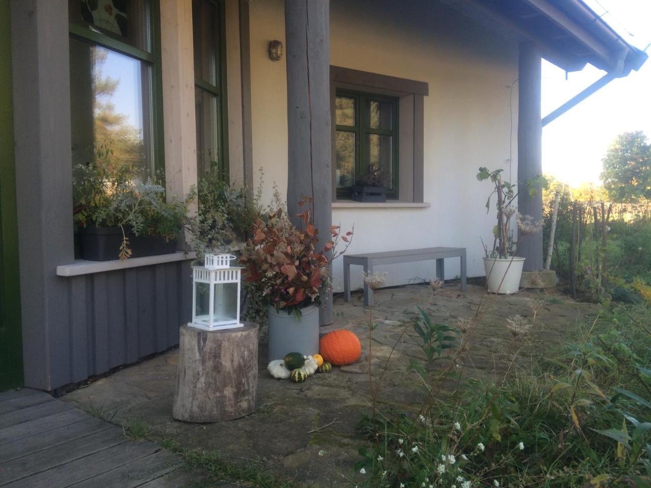 Chamedafne W Puszczy Kampinoskiej Brochów Esterno foto