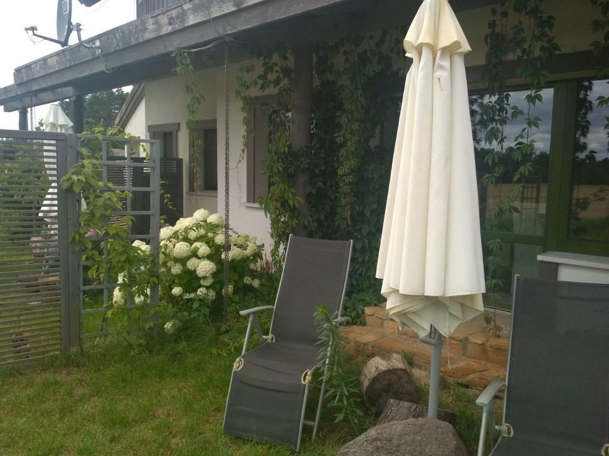 Chamedafne W Puszczy Kampinoskiej Brochów Esterno foto