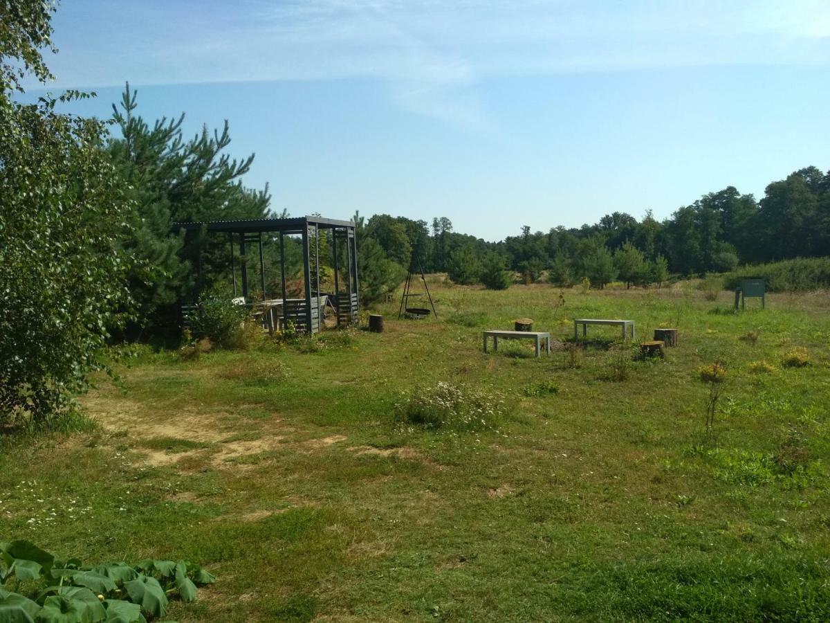 Chamedafne W Puszczy Kampinoskiej Brochów Esterno foto