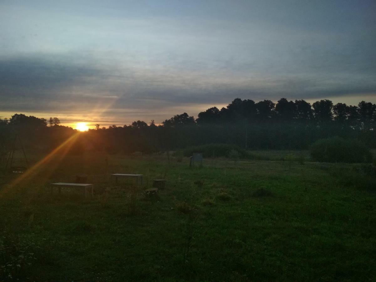 Chamedafne W Puszczy Kampinoskiej Brochów Esterno foto